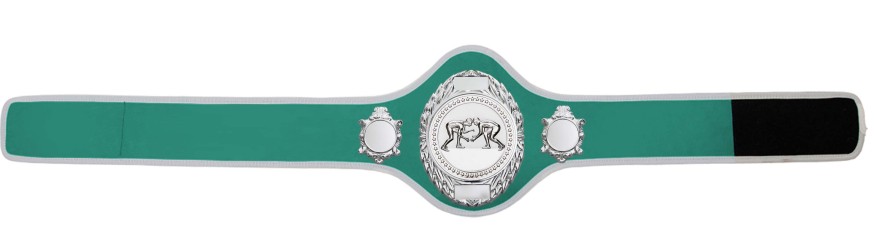 GRAPPLING CHAMPIONSHIP BELT-PRO286/S/GRAPPS-10+ COLOURS
